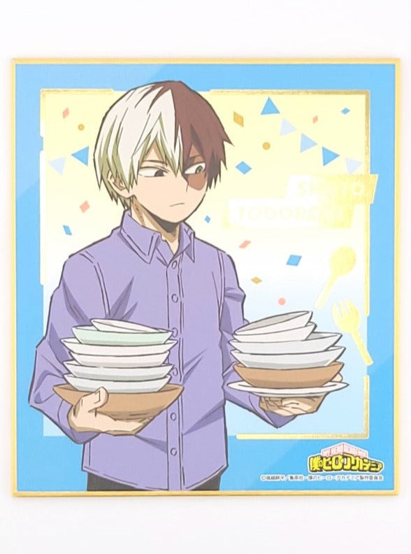 My Hero Academia Shoto Shikishi