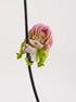 Demon Slayer Mitsuri 4,7cm große Kabel Figur