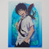 Blue Exorcist A4 Clearfile / Poster