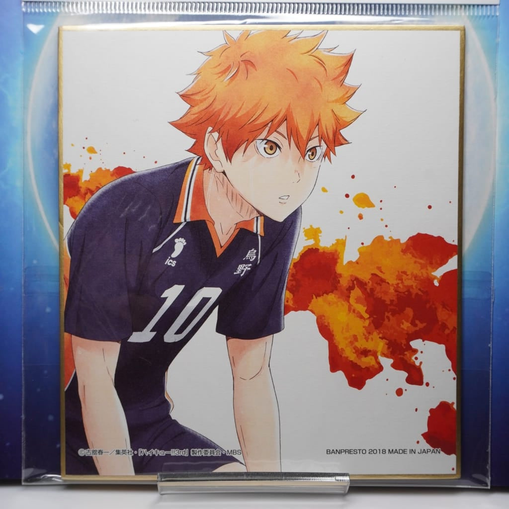 Haikyuu Shoyo Hinata Shikishi