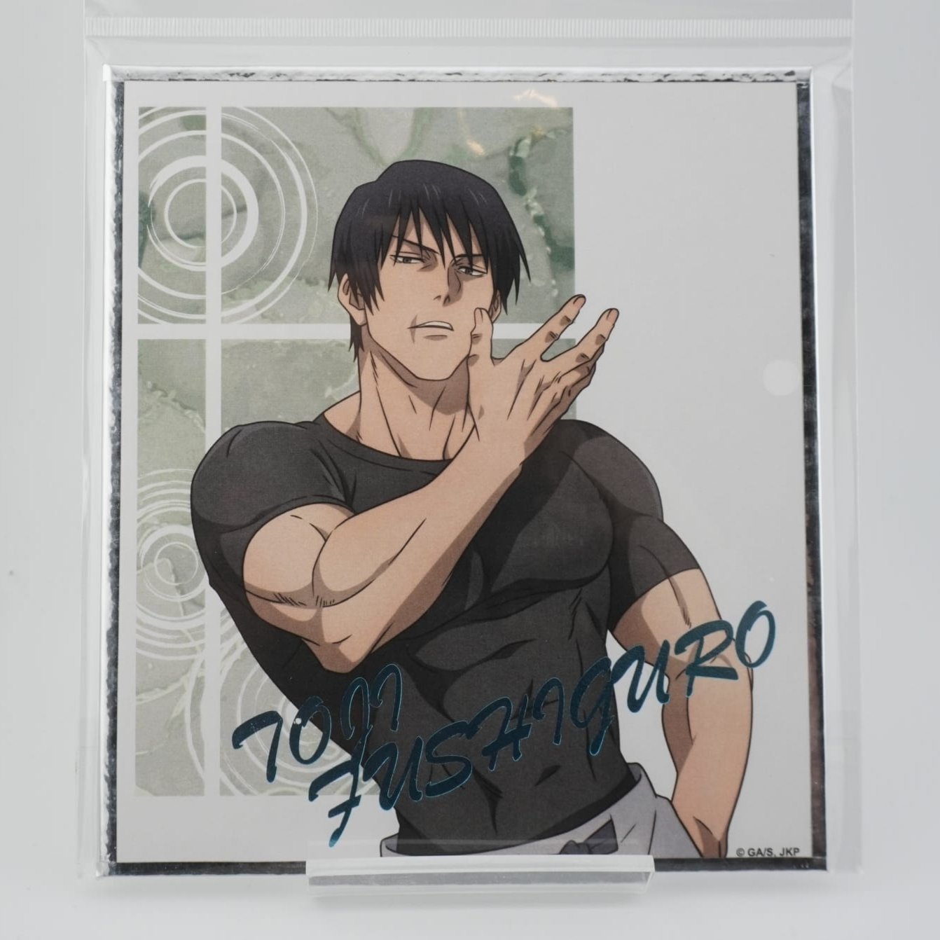 Jujutsu Kaisen Toji Fushiguru Shikishi