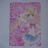 Sailor Moon A5 Clearfile / Poster