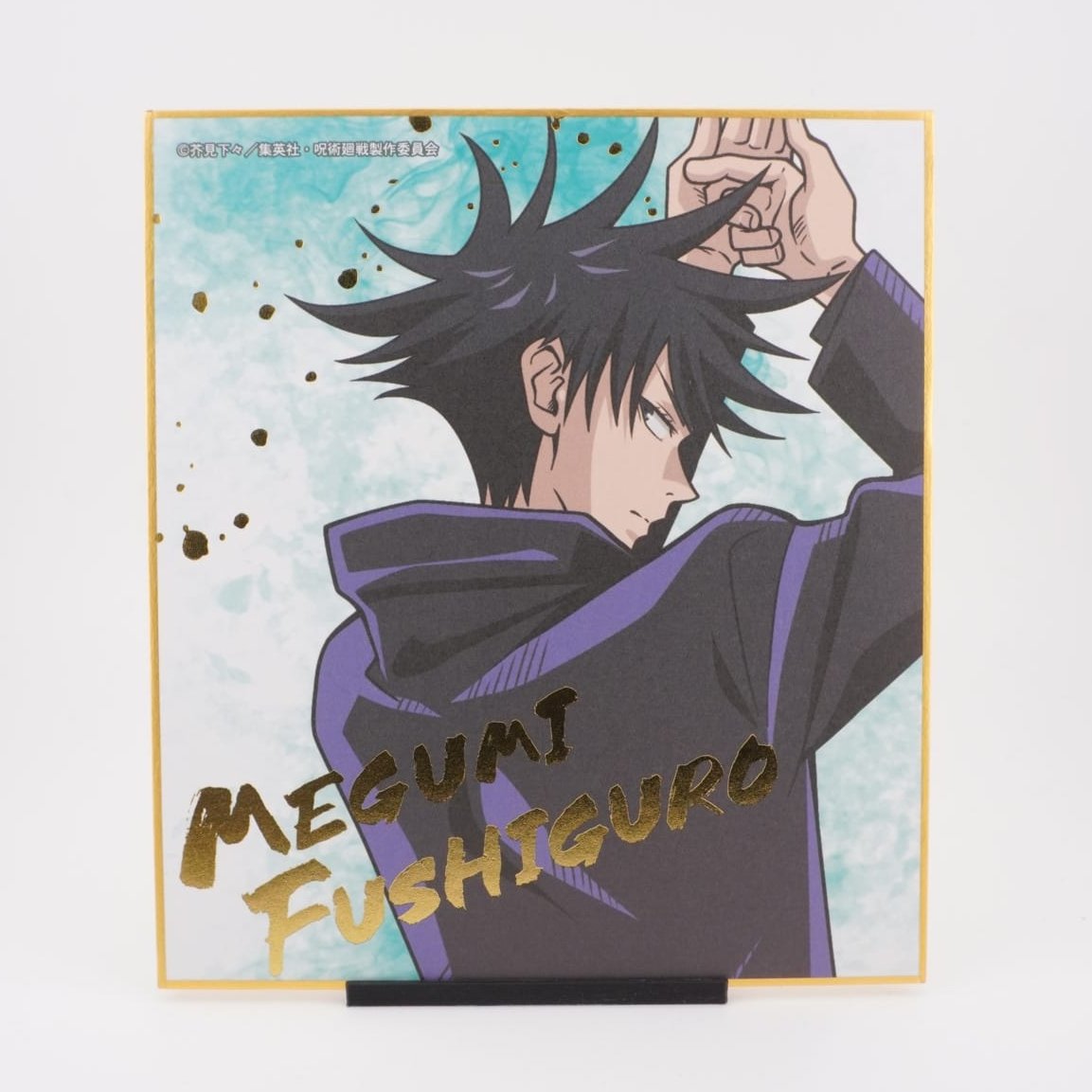 Jujutsu Kaisen Megumi Fushiguro Shikishi