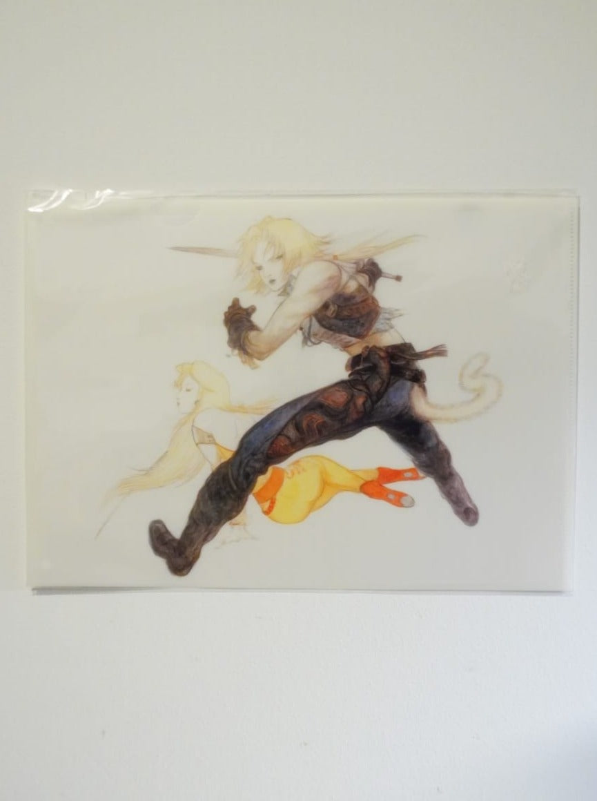 Final Fantasy IX Clearfile