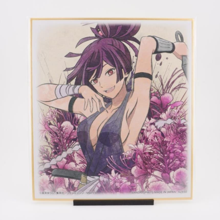 Hell's Paradise Yuzuriha Shikishi