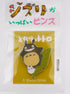 Studio Ghibli Totoro Pin