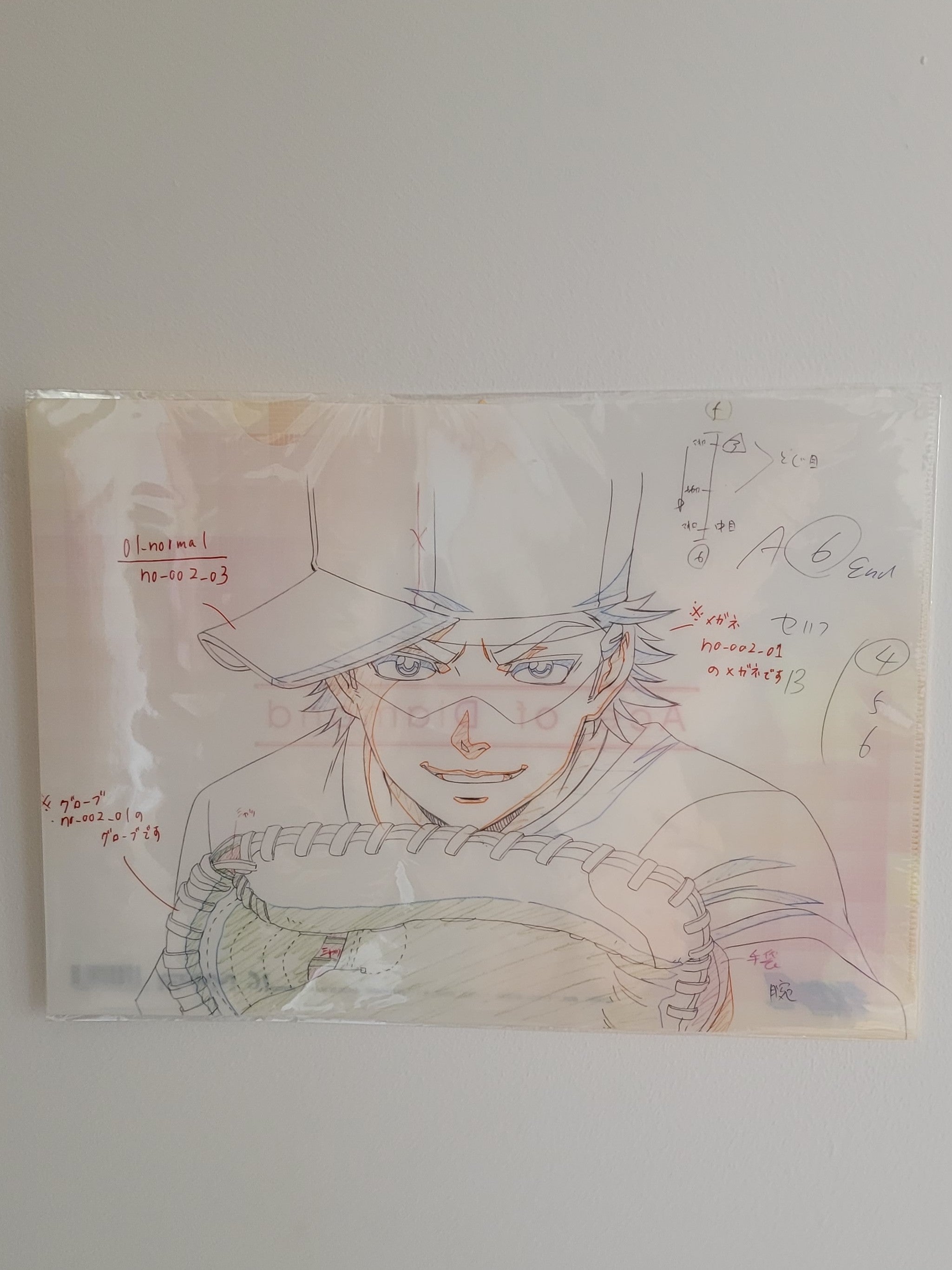 Ace of Diamond Clearfile Nippon4U