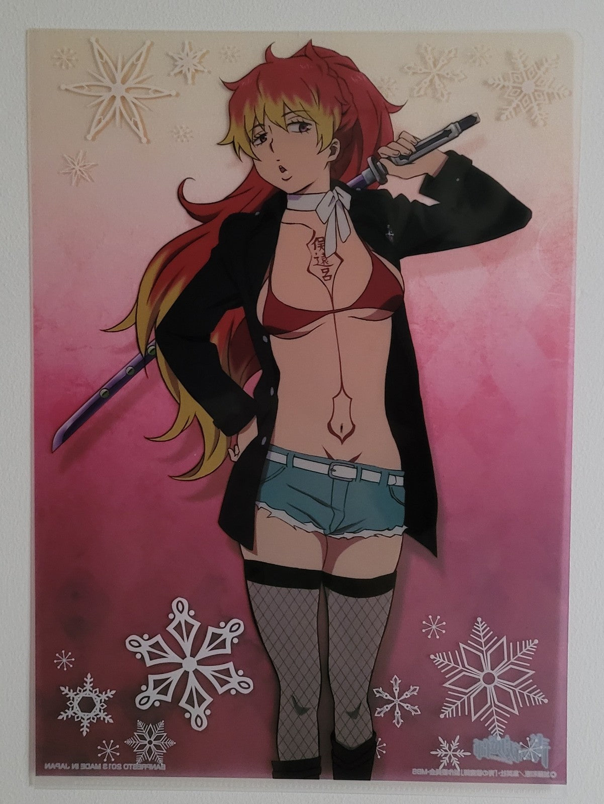 Blue Exorcist Clearfile Nippon4U