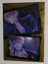 Diabolik Lovers Clearfile Nippon4U