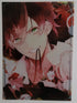 Diabolik Lovers Clearfile Nippon4U