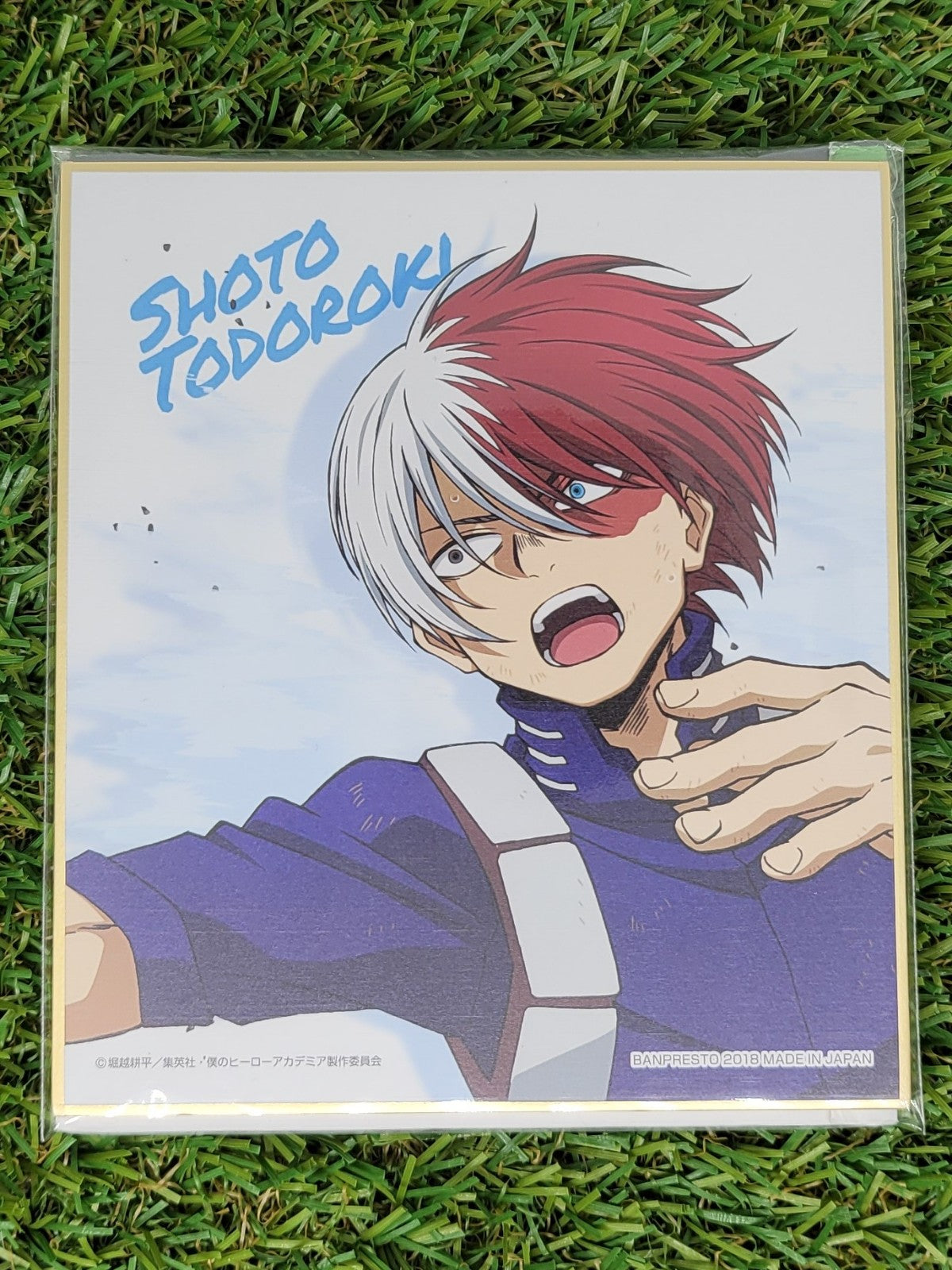 My Hero Academia Shoto Shikishi Nippon4U
