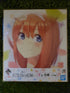 The Quintessential Quintuplets großes Shikishi Nippon4U