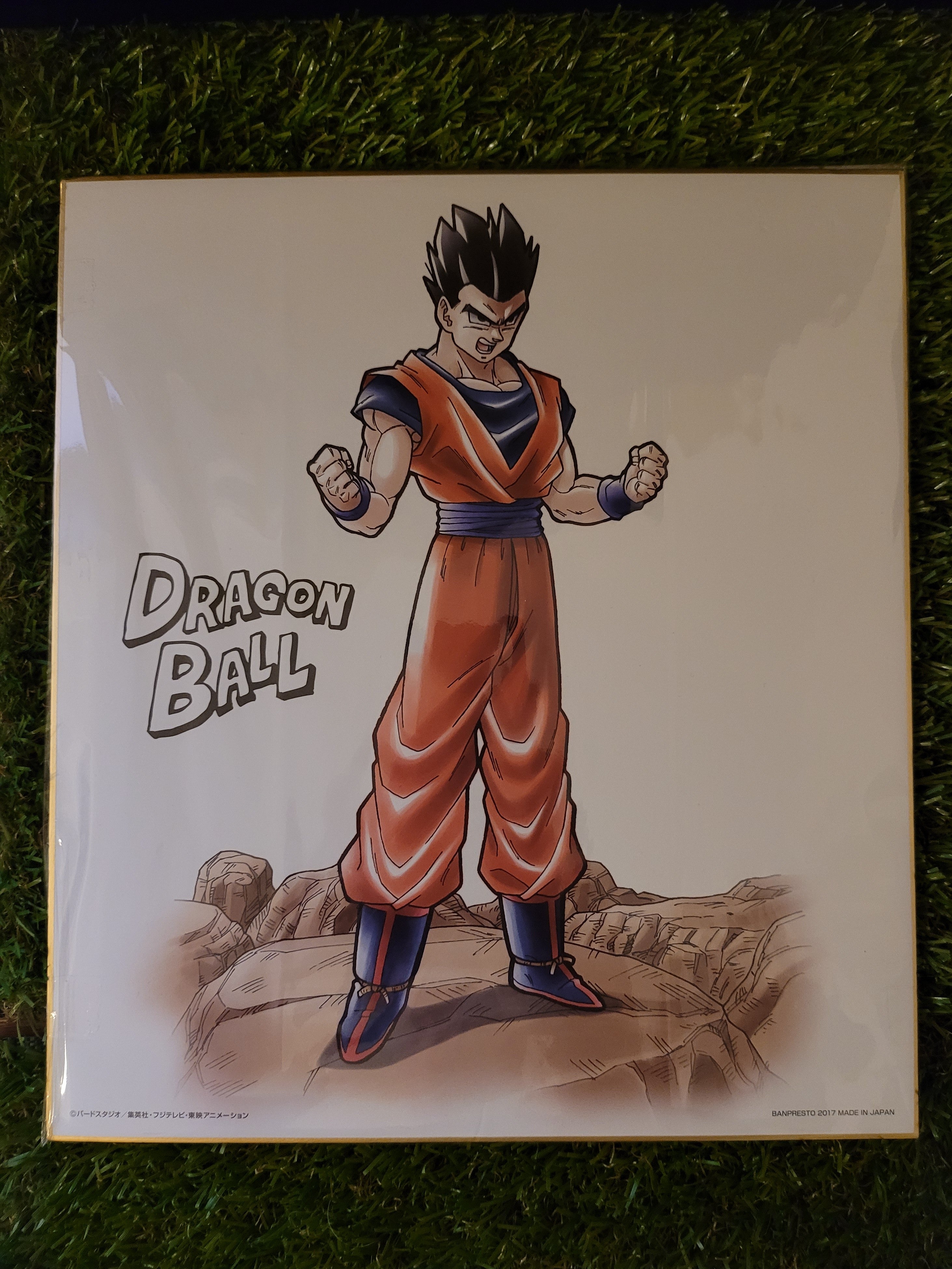 Dragon Ball großes Shikishi Nippon4U