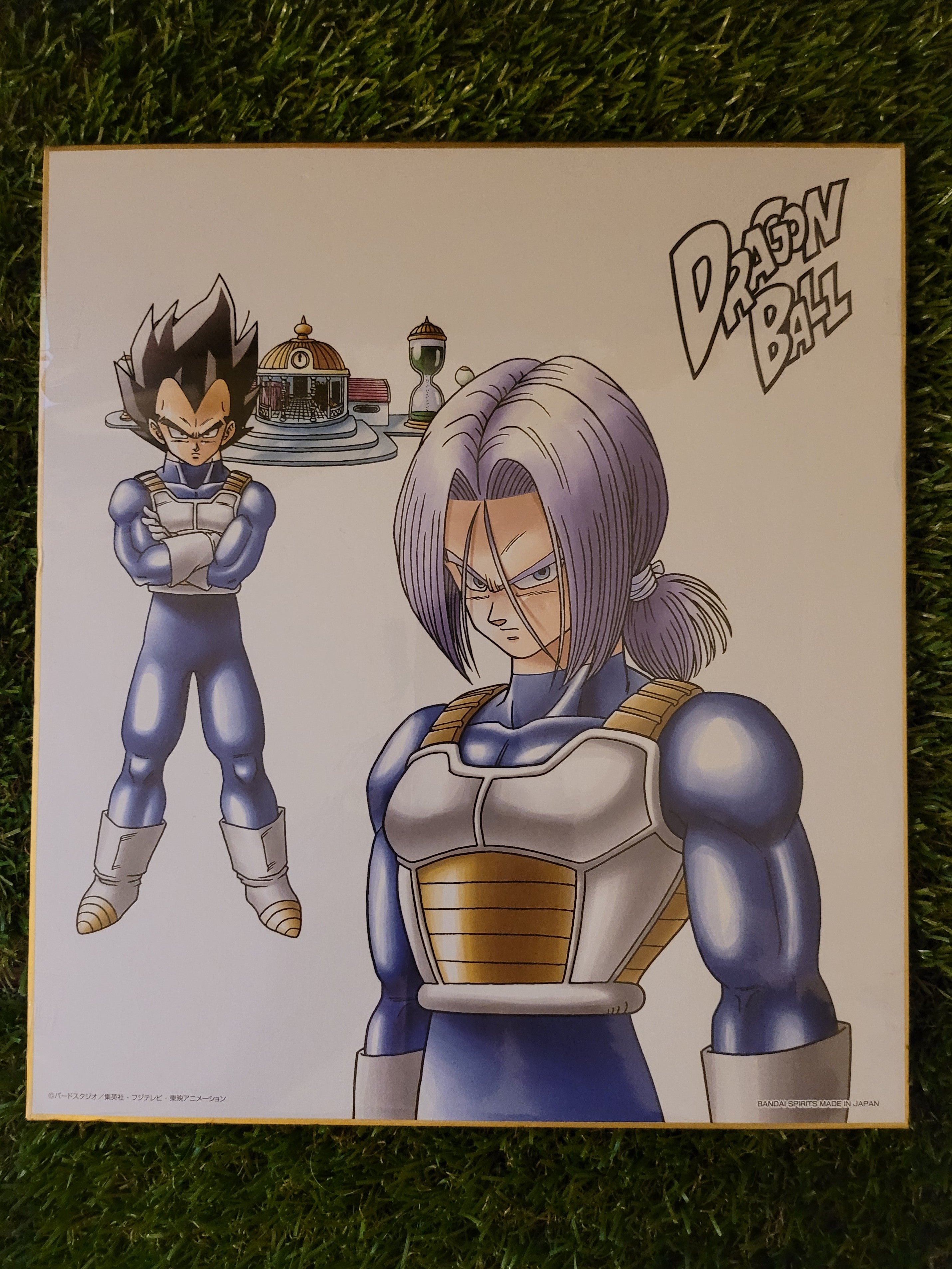 Dragon Ball großes Shikishi Nippon4U