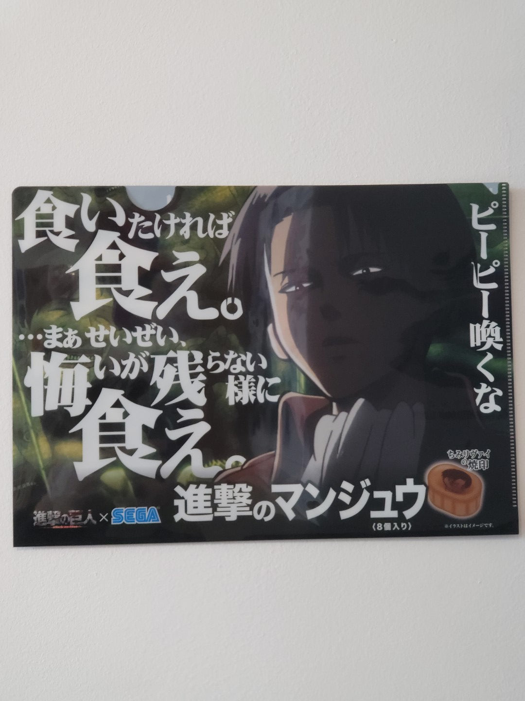 Attack on Titan Clearfile