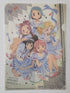 Puella Magi Madoka Magica Clearfile