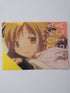 Puella Magi Madoka Magica Mami Clearfile