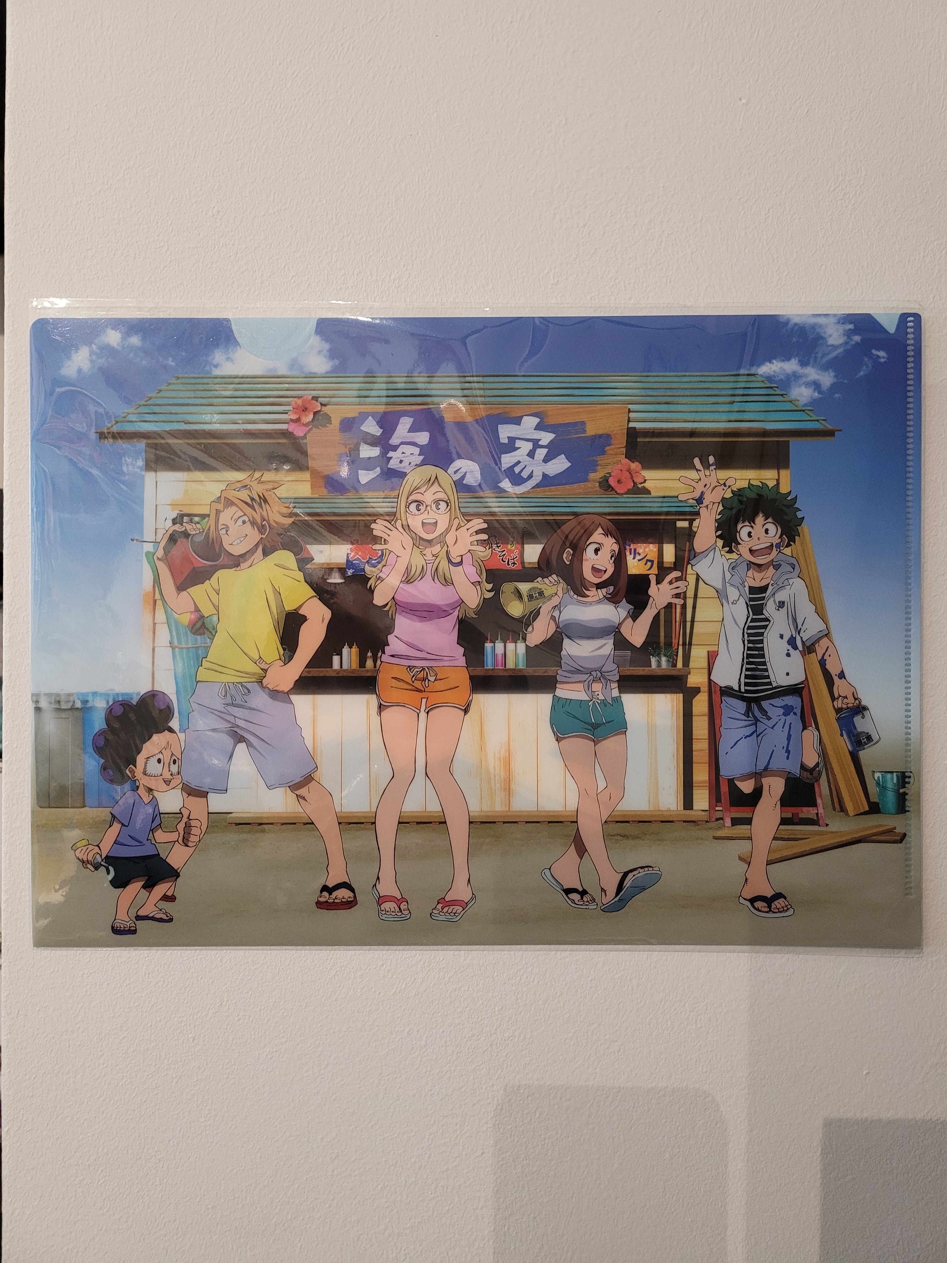My Hero Academia Clearfile