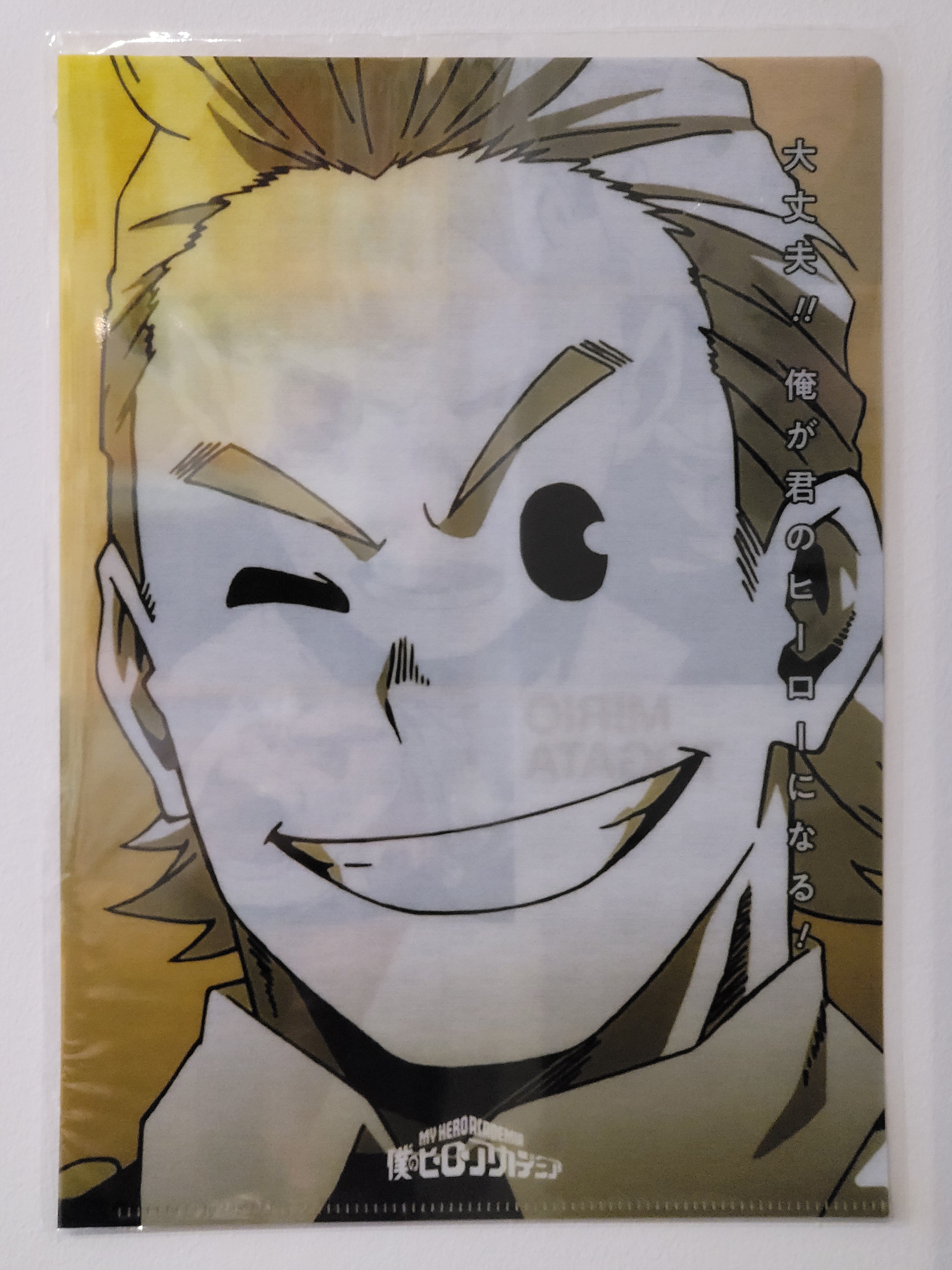 My Hero Academia Lemillion Mirio Clearfile