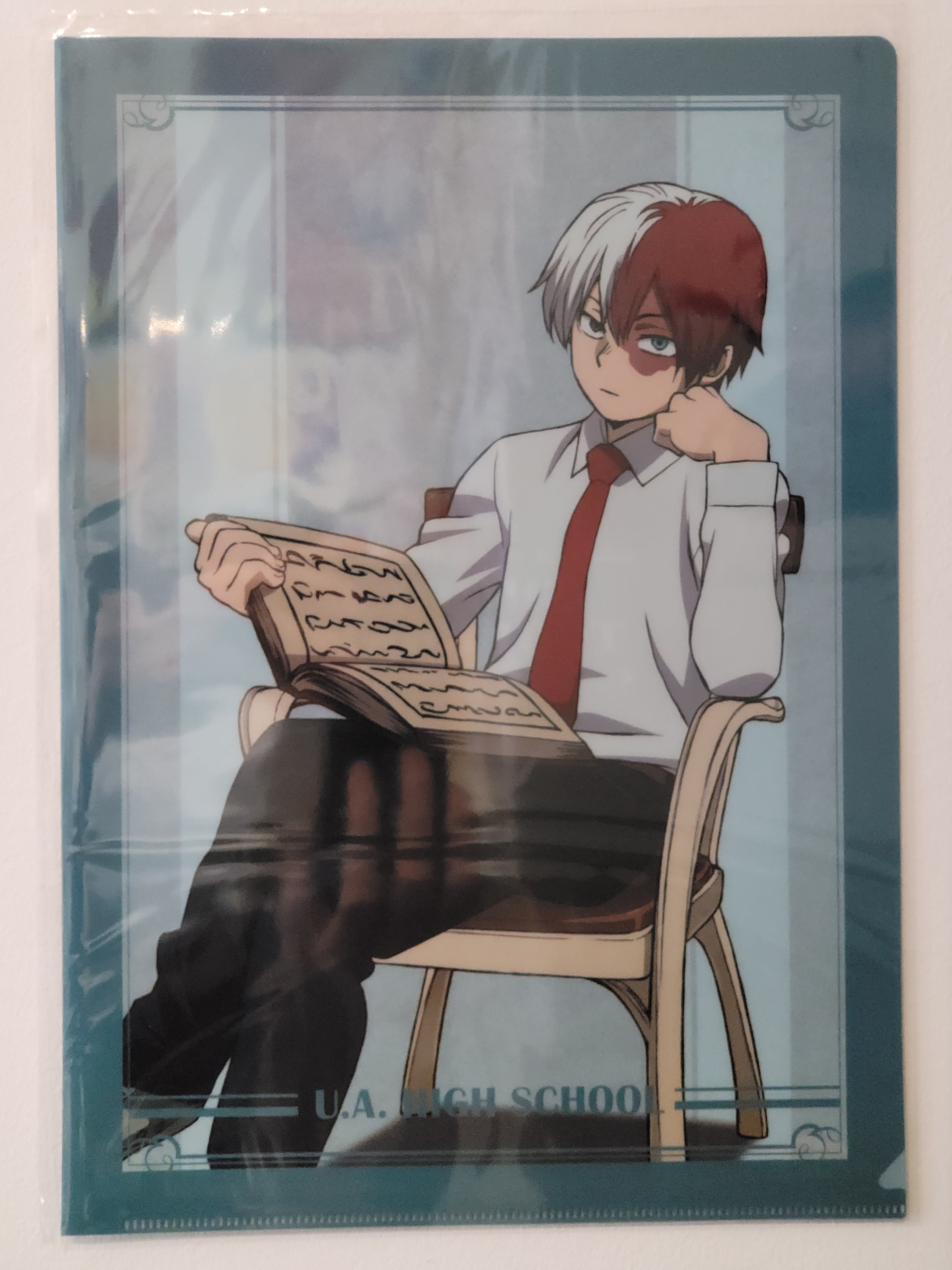 My Hero Academia Shoto Clearfile