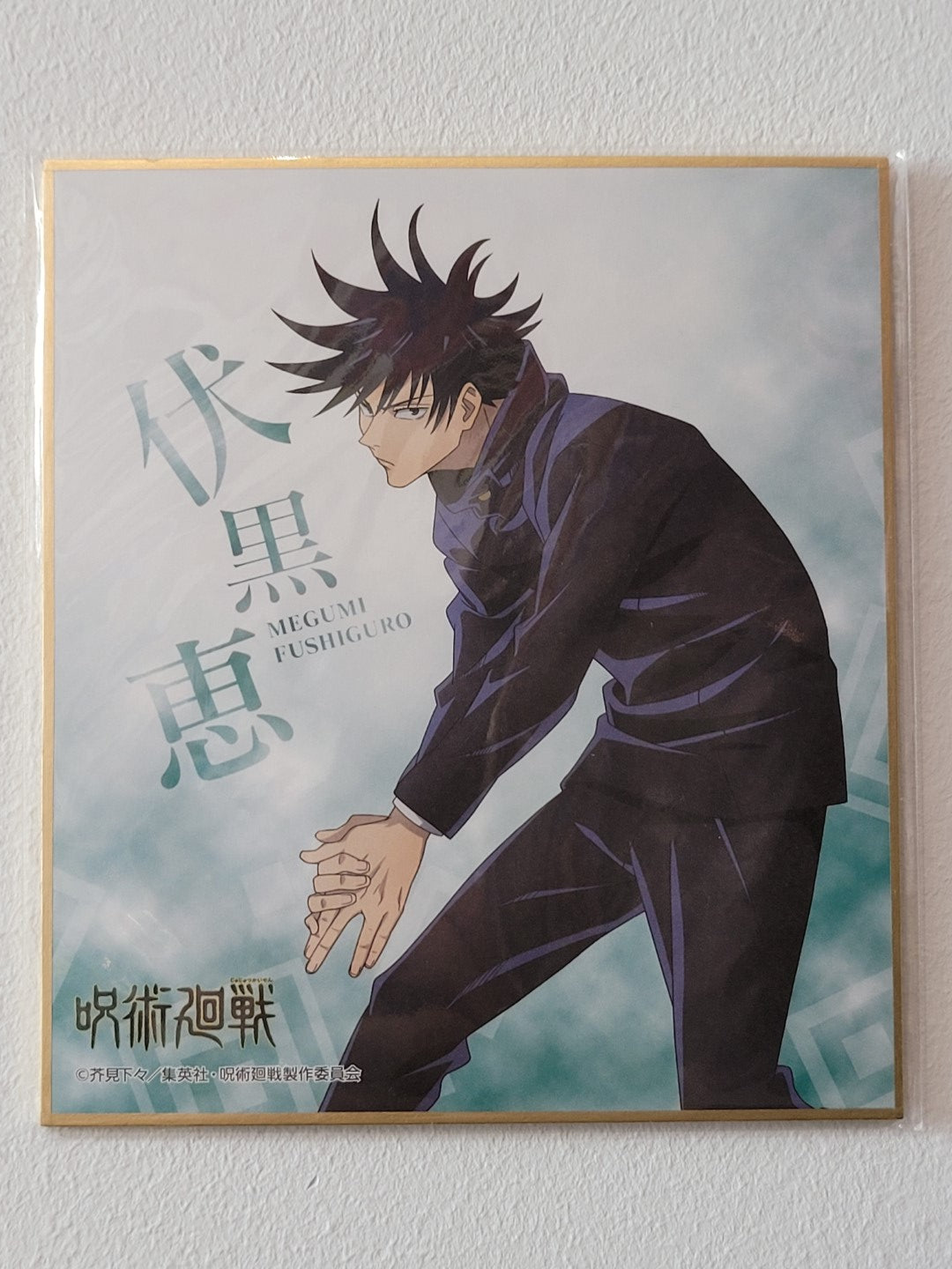 Jujutsu Kaisen Megumi Fushiguro Shikishi