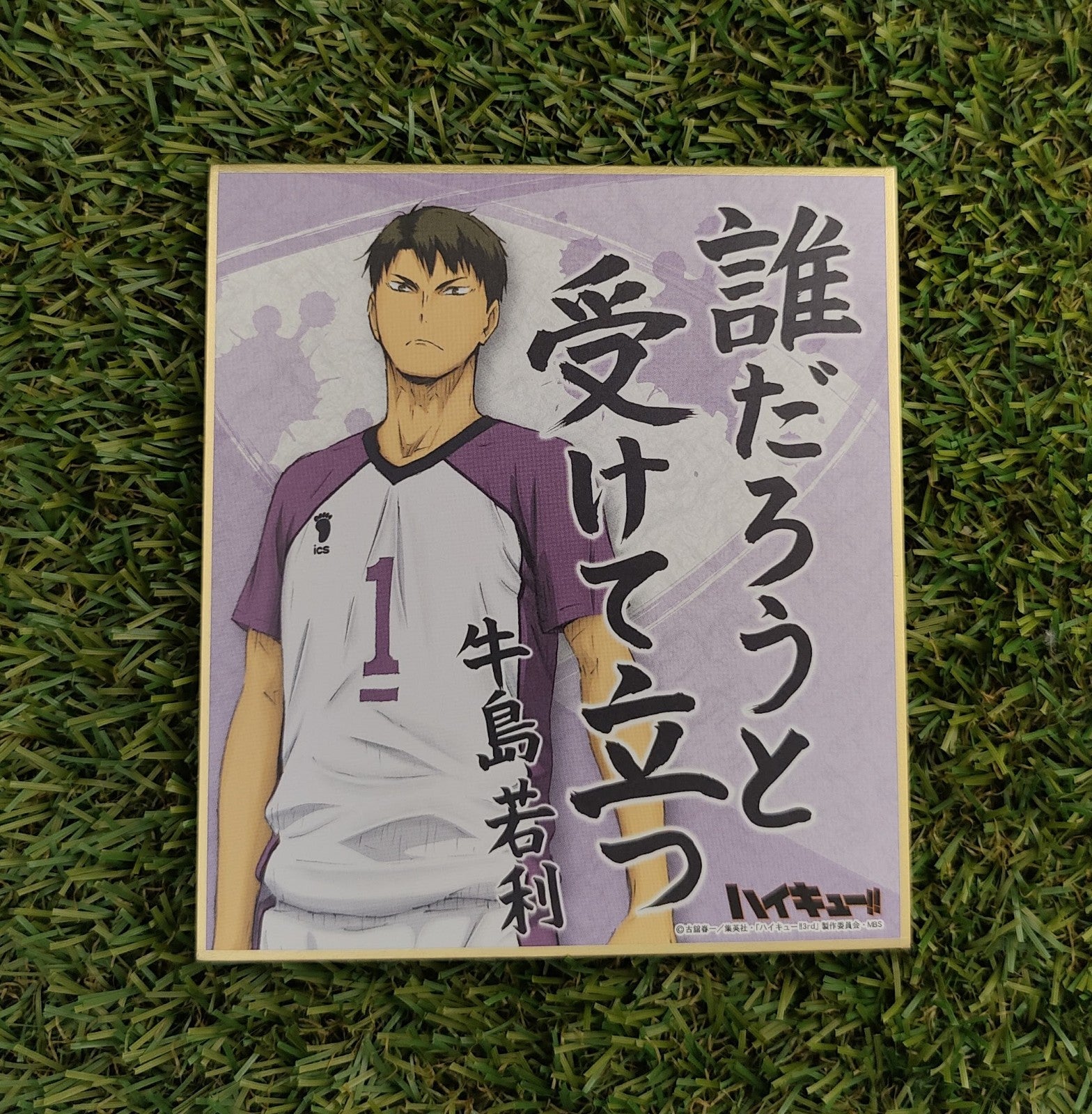 Haikyuu Shikishi Nippon4U