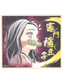 Demon Slayer Nezuko Shikishi