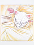Demon Slayer Sabito Shikishi