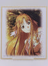 Sword Art Online Asuna Shikishi