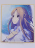 Sword Art Online Asuna Shikishi