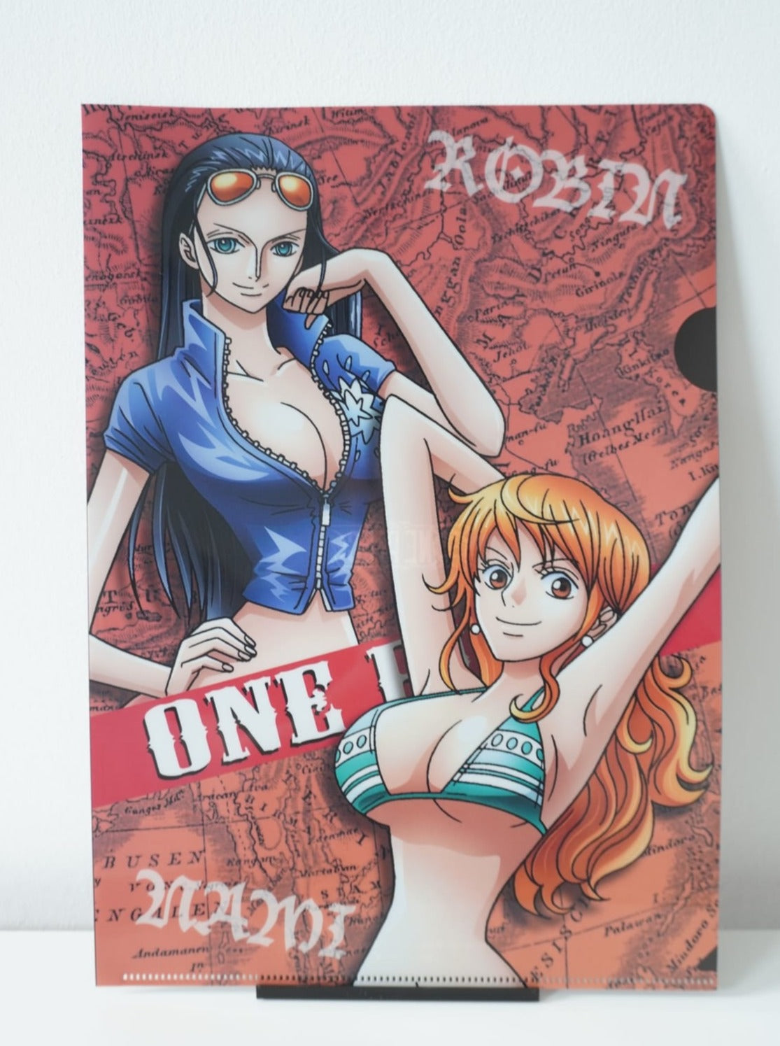 One Piece Nami & Robin A4 Clearfile