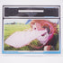 Sword Art Online Asuna 10 x 17 cm extra großer Aufsteller