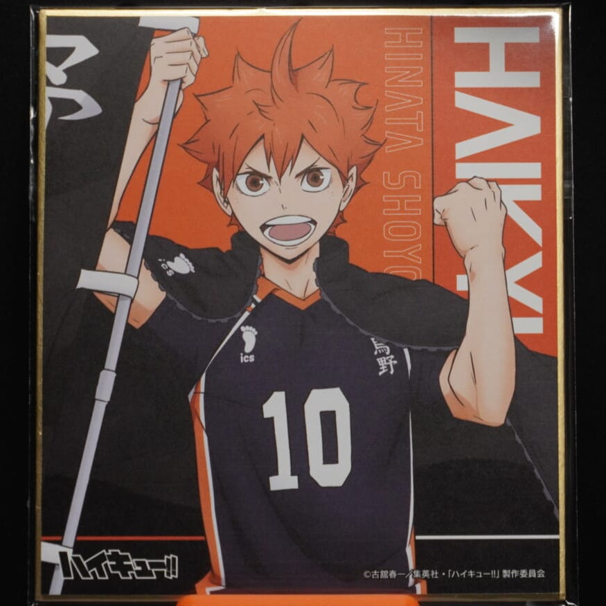 Haikyuu Shoyo Hinata Shikishi