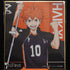 Haikyuu Shoyo Hinata Shikishi