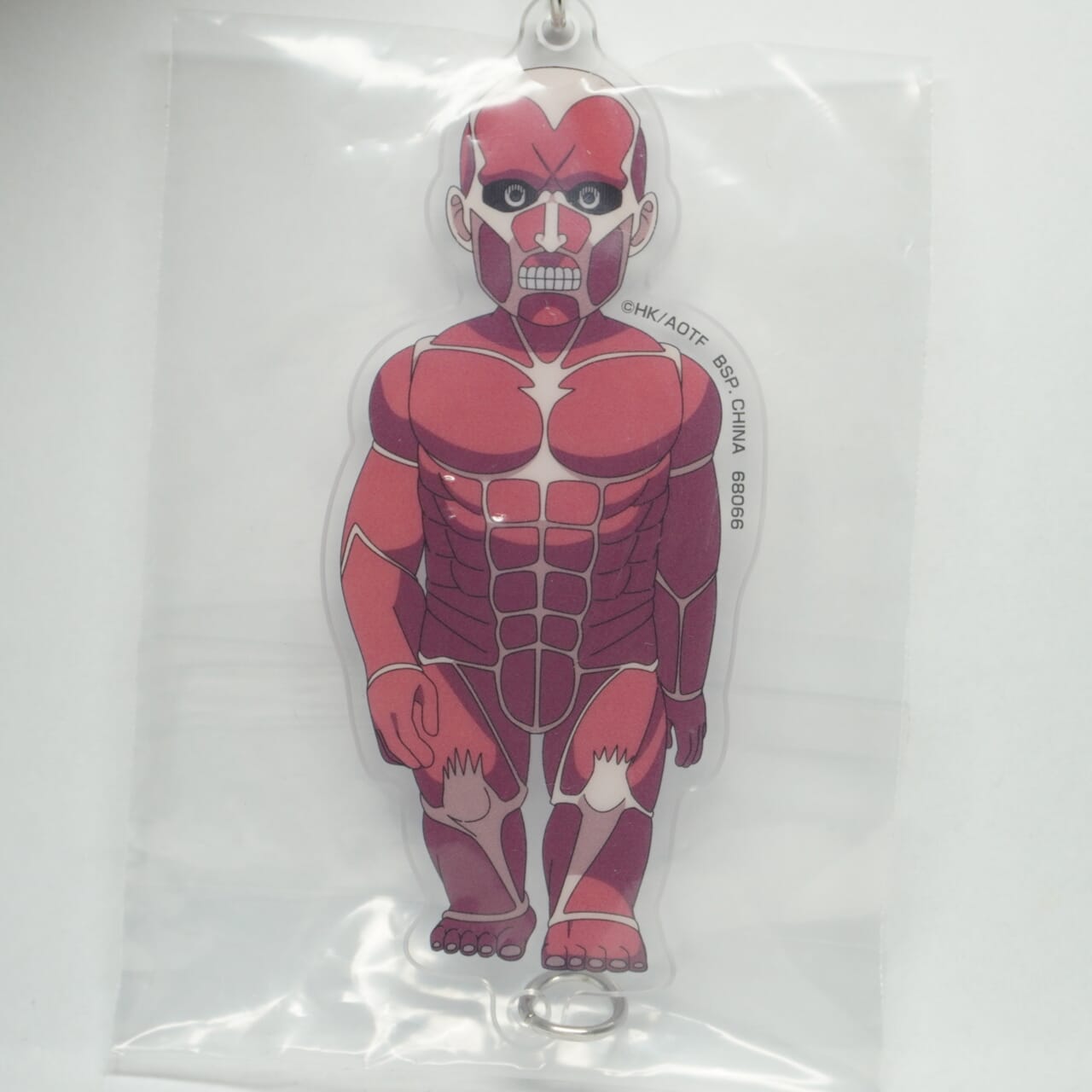 Attack on Titan "Titan" Anhänger