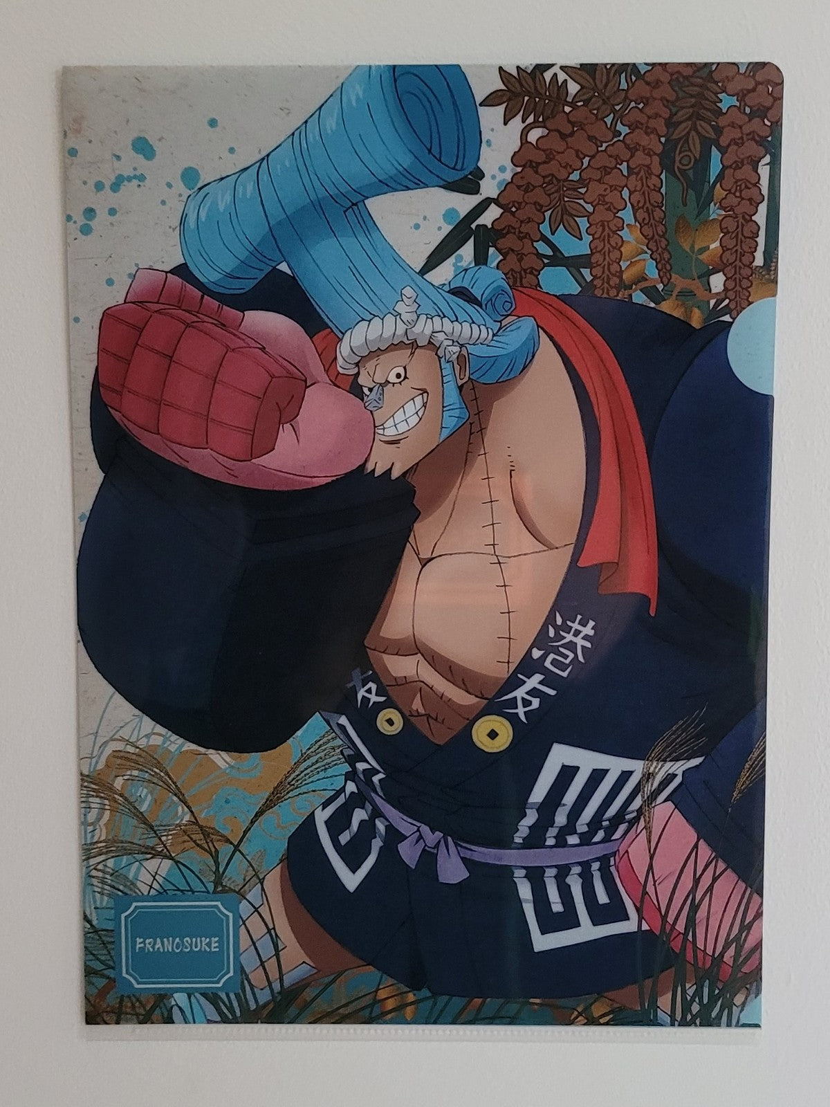 One Piece Franky Clearfile Nippon4U