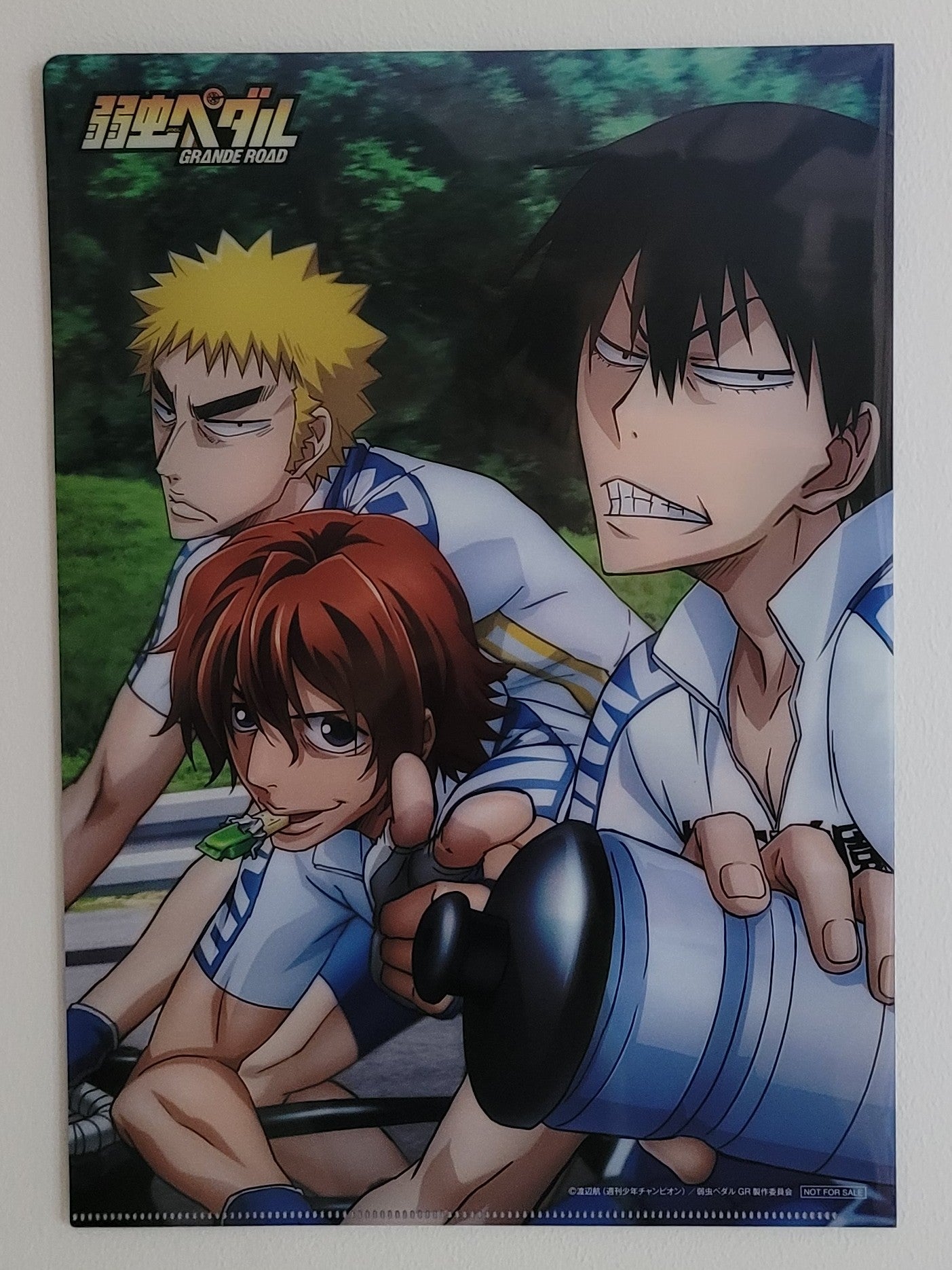 Yowamushi Pedal Clearfile Nippon4U