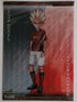 Inazuma Eleven Clearfile Nippon4U