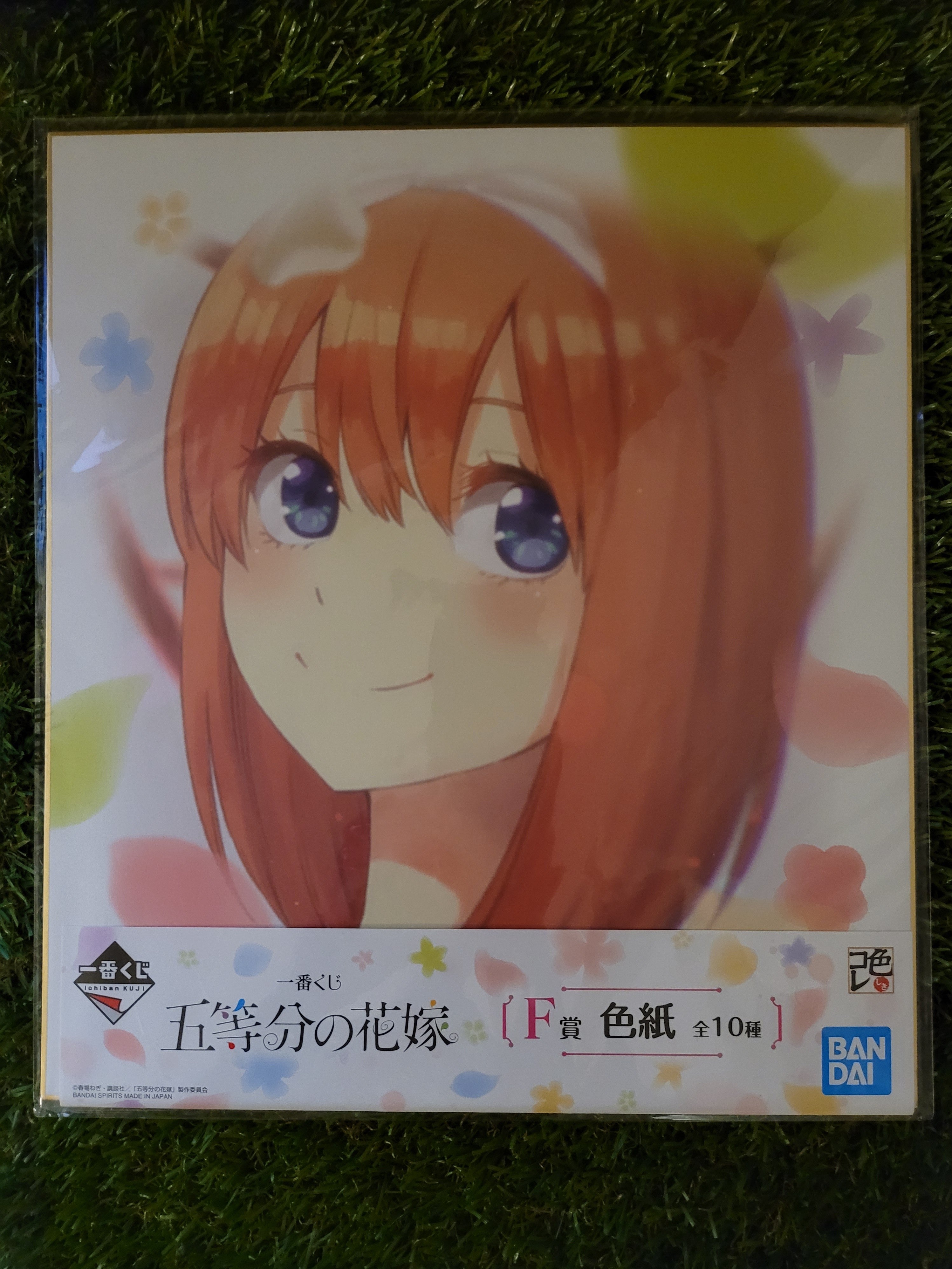 The Quintessential Quintuplets großes Shikishi Nippon4U