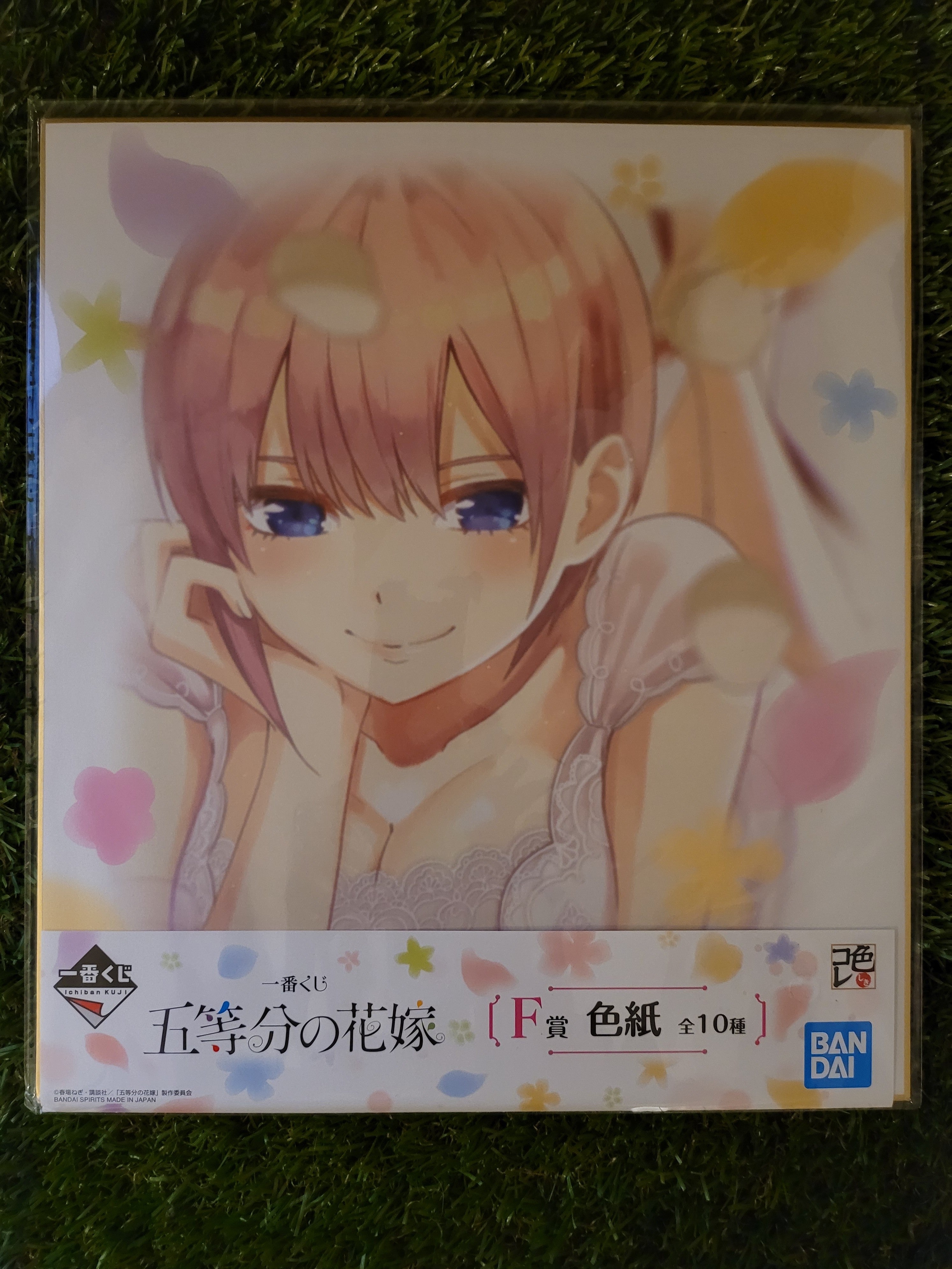 The Quintessential Quintuplets großes Shikishi Nippon4U