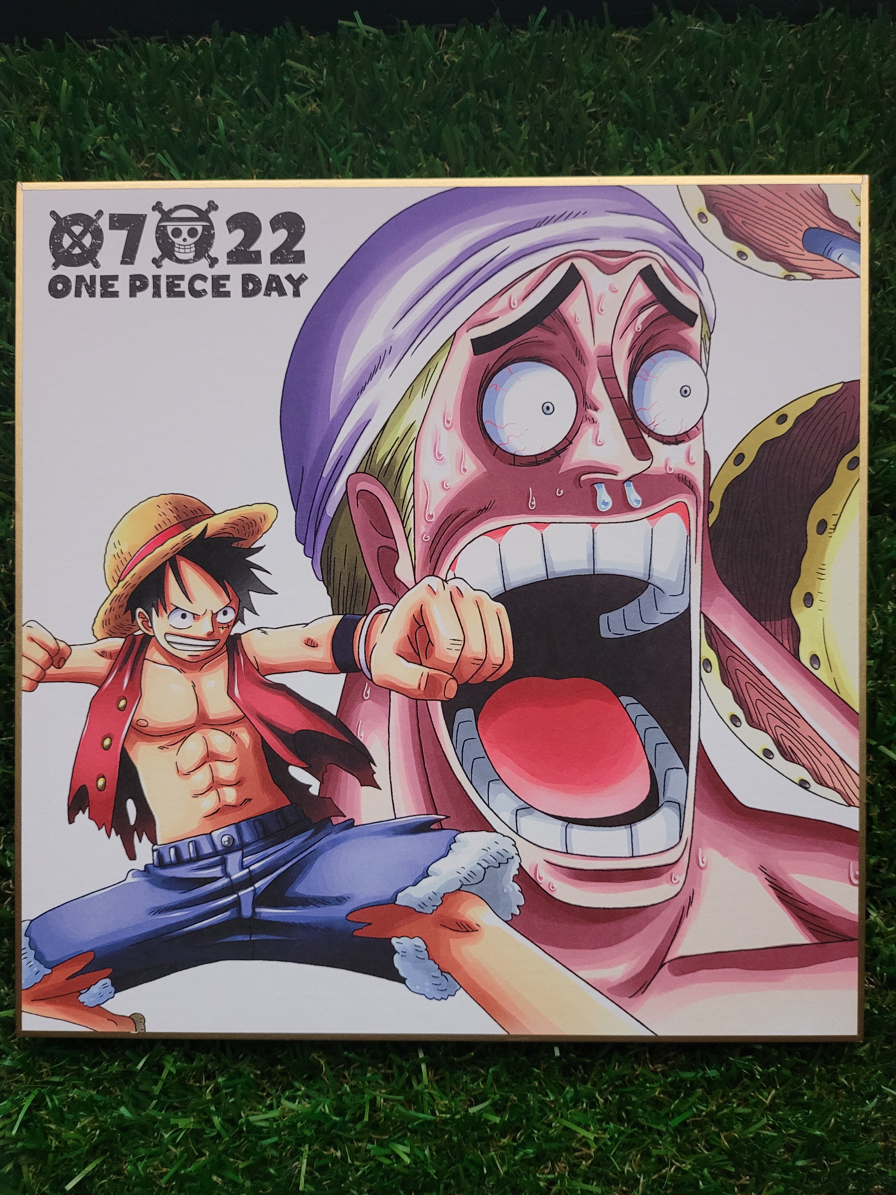 One Piece Ruffy & Enel Shikishi Nippon4U