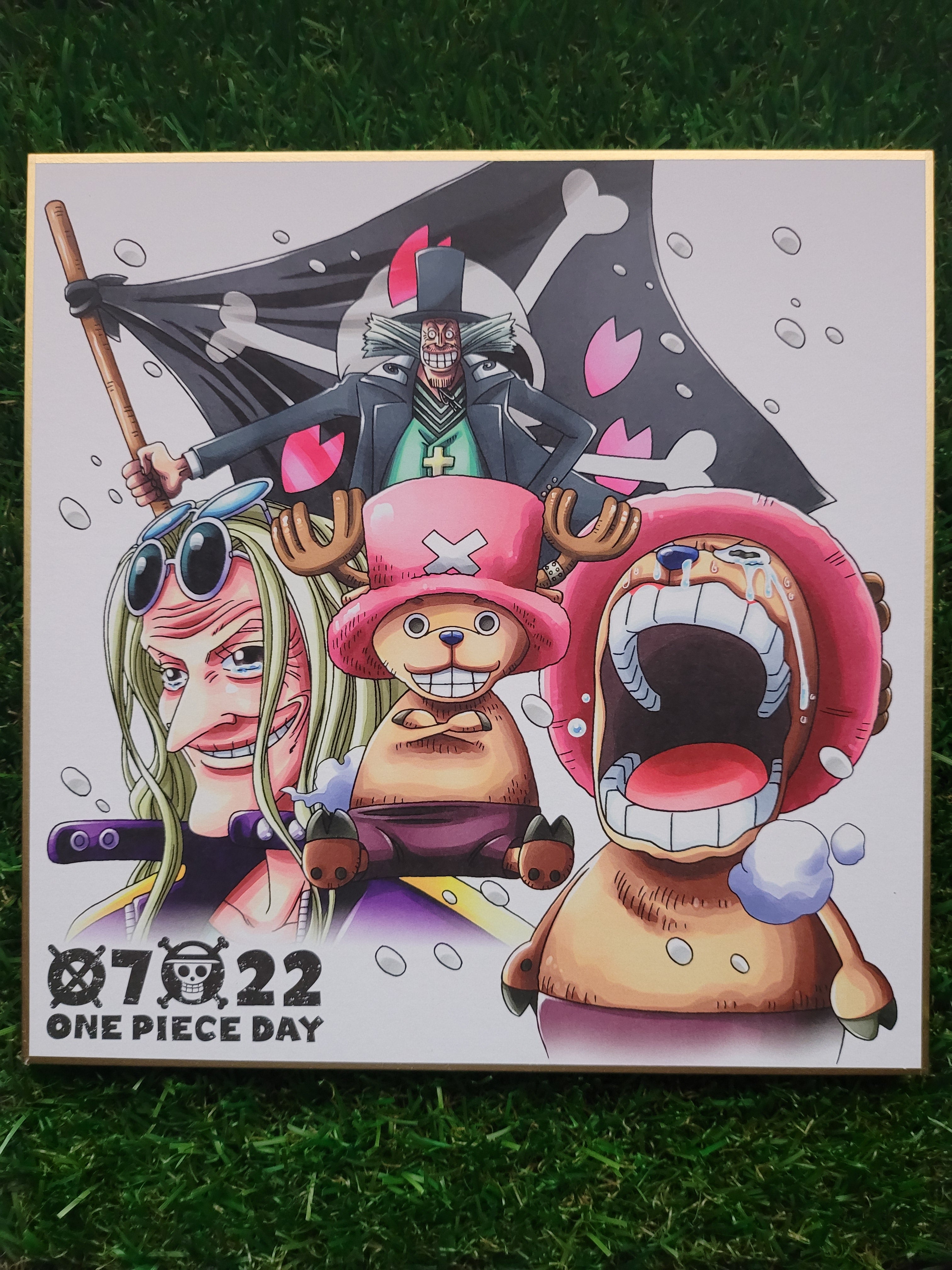 One Piece Chopper & Dr. Kureha & Hiriluk Shikishi Nippon4U