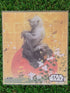Star Wars Shikishi Nippon4U