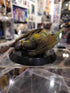 Monster Hunter Grüner Nargacuga Figur Nippon4U