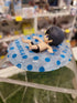 Free! Haruka Figur Nippon4U