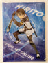 Sword Art Online Kirito Clearfile