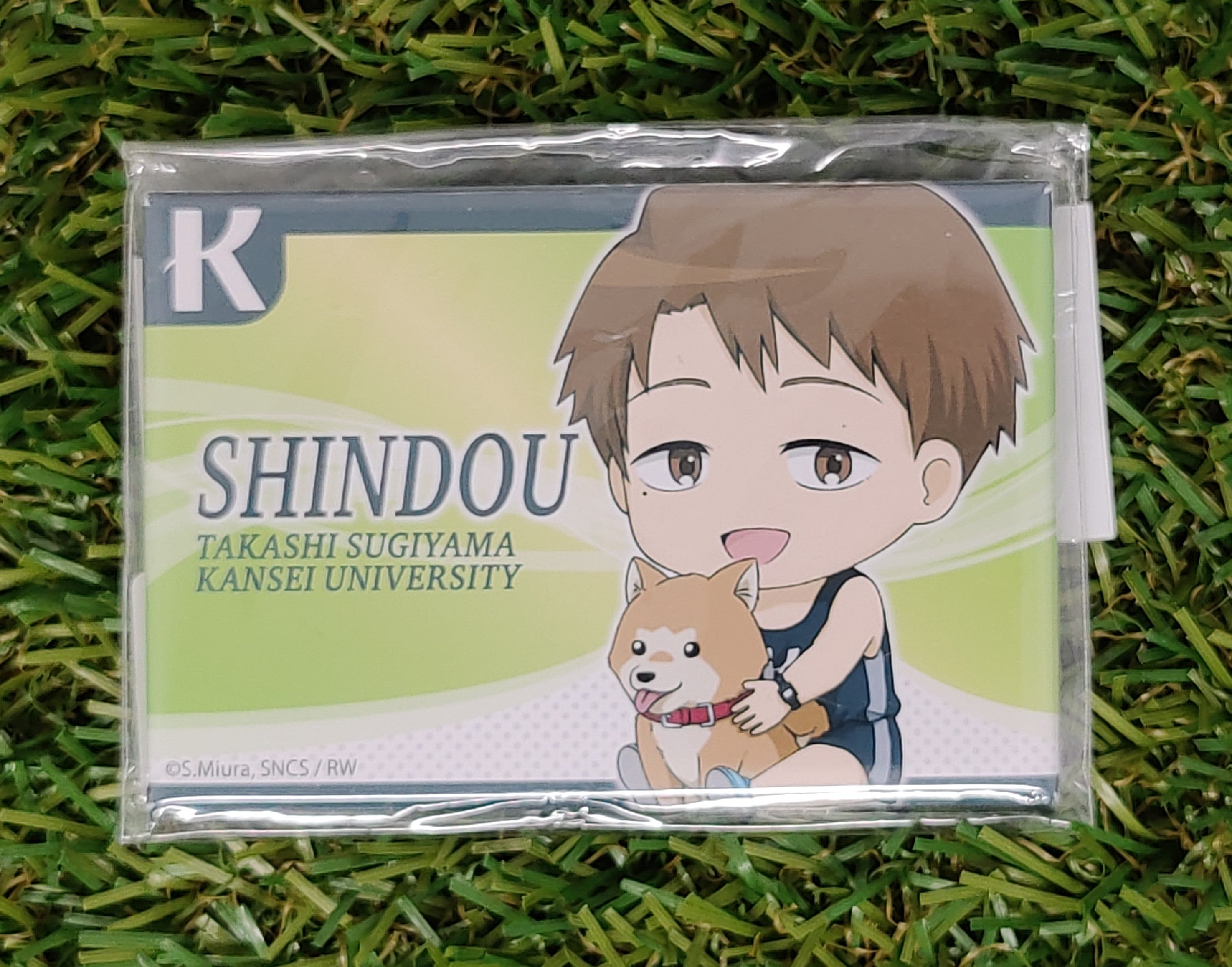 Run with the Wind Shindou Button Nippon4U