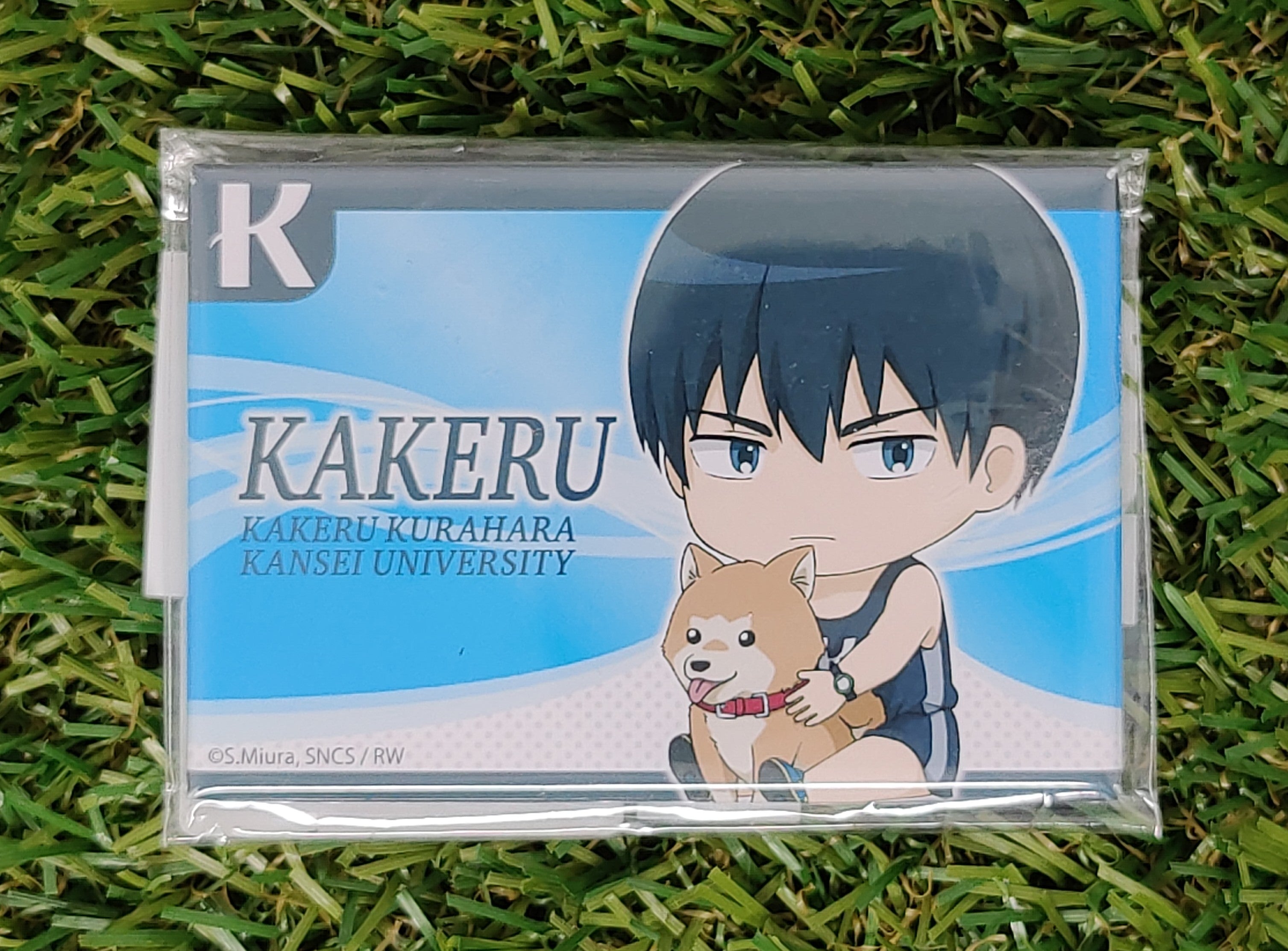 Run with the Wind Kakeru Button Nippon4U