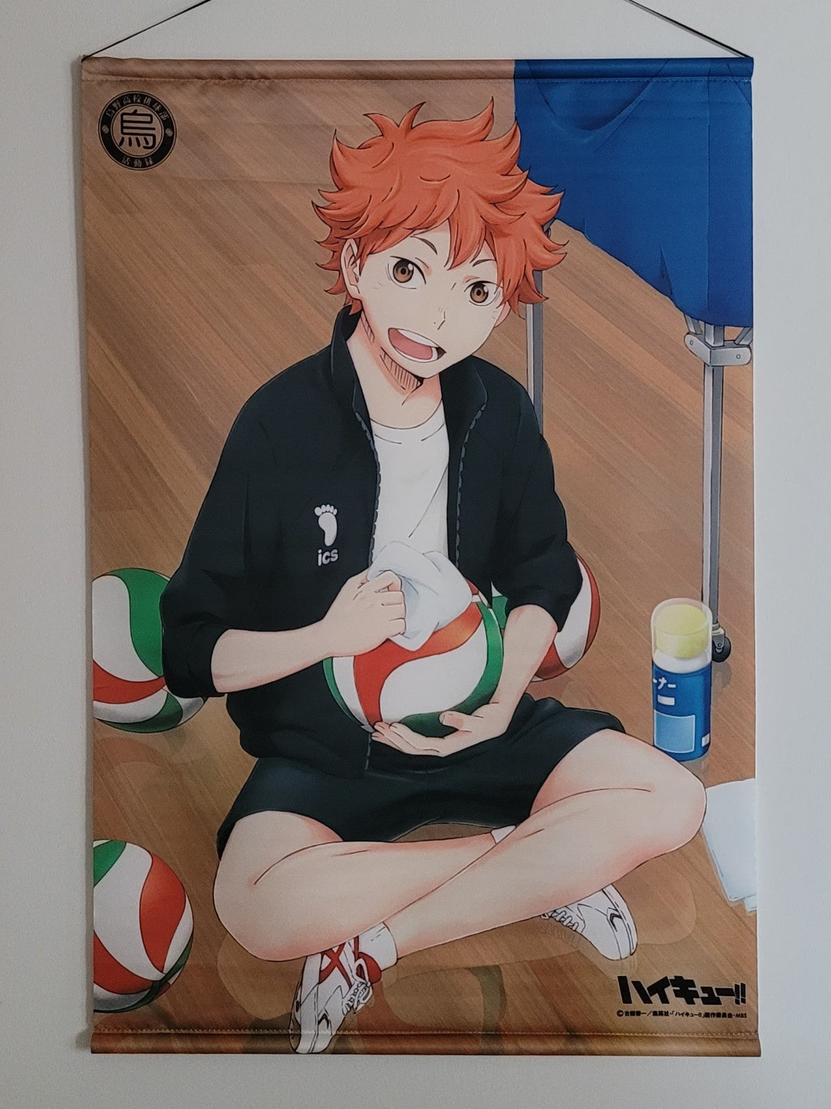 Haikyuu Akira Hinata Wallscroll / Stoffposter Nippon4U